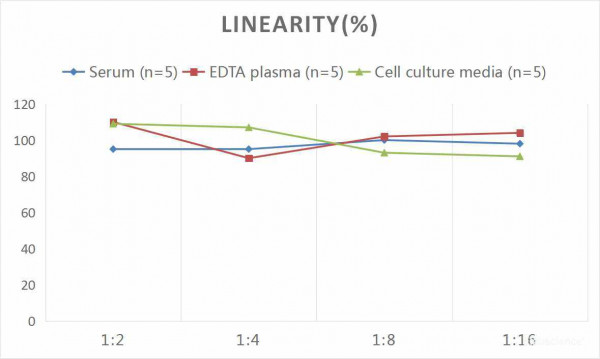 Human IgE (Immunoglobulin E) CLIA Kit