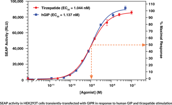 GIP Receptor (human) Reporter Assay Kit