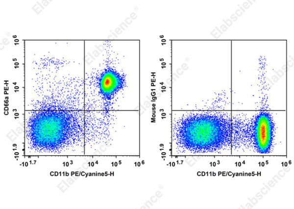PE Anti-Mouse CD66A Antibody[Mab-CC1]
