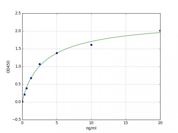 Mouse Retinoic acid receptor RXR-beta / RXRB ELISA Kit