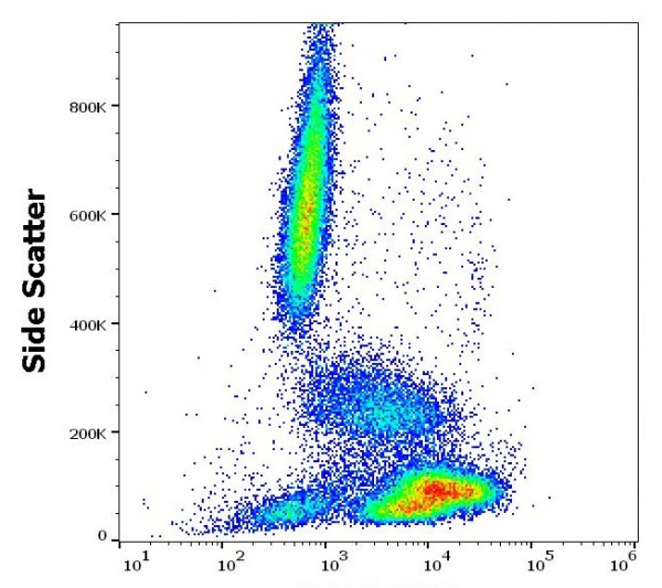 Anti-CD81, clone M38 (FITC)