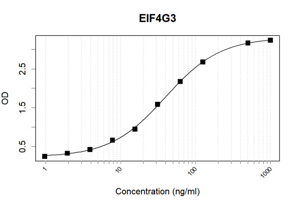 Anti-Human EIF4G3 Antibody Pair