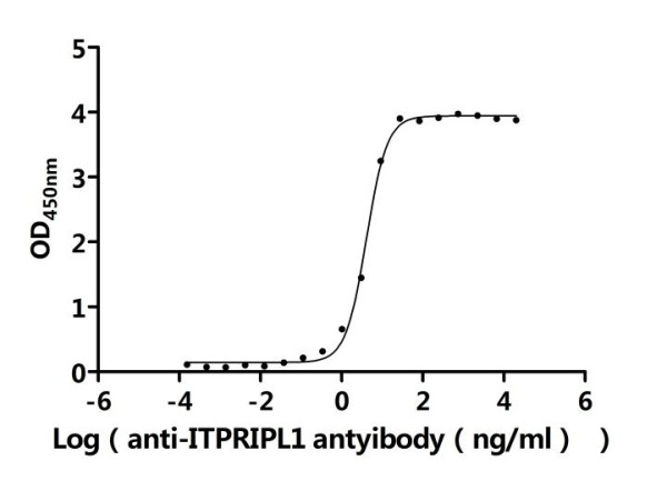 Anti-ITPRIPL1, recombinant clone 6D11