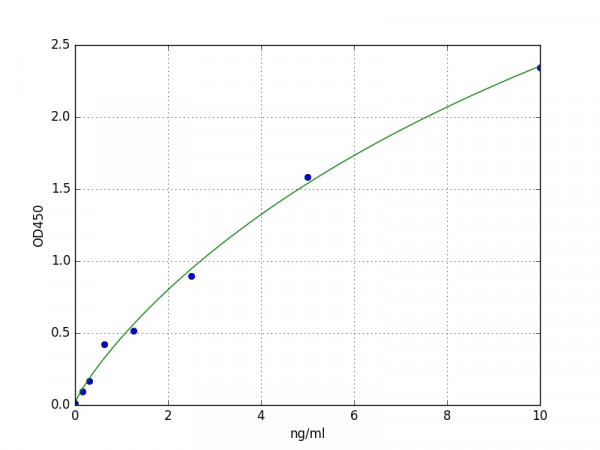 Mouse DRD1 / Dopamine Receptor D1 ELISA Kit