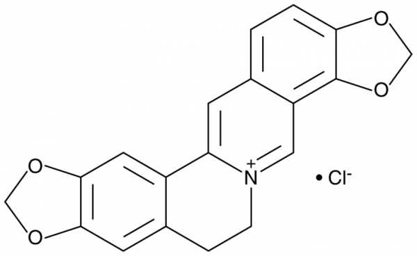 Coptisine (chloride)