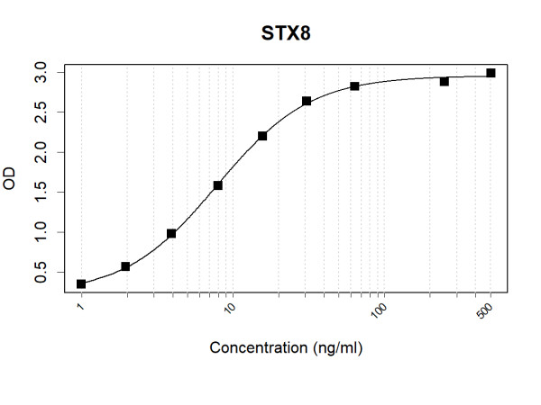 Anti-Human STX8 Antibody Pair