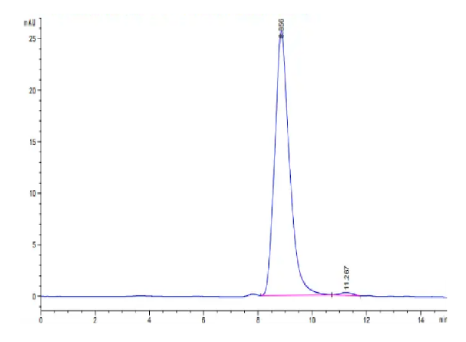 Fibronectin (32-602), His, Human