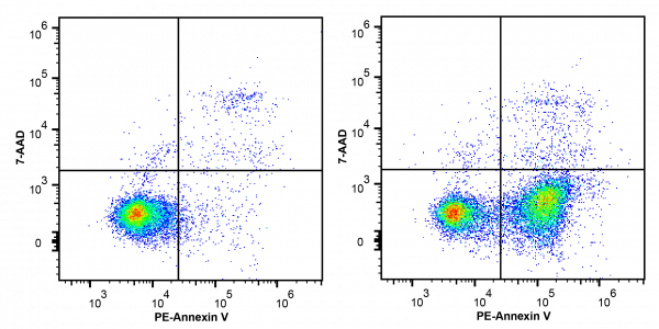 Annexin V-PE/7-AAD Apoptosis Kit