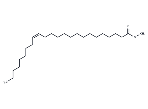 Nervonic Acid Methyl Ester
