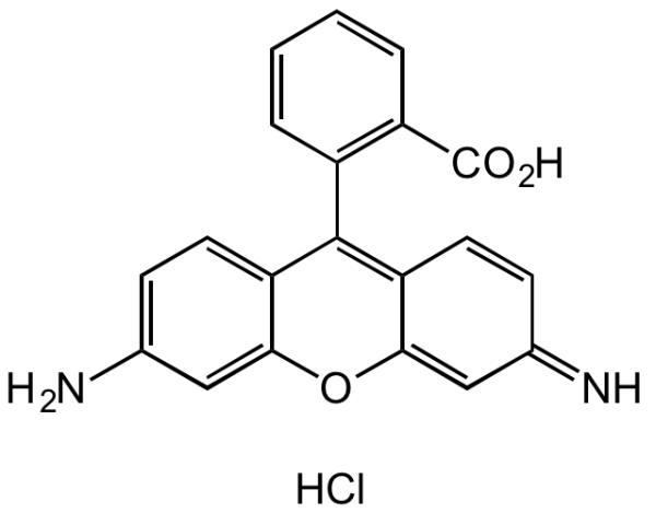 Rhodamine 110 chloride