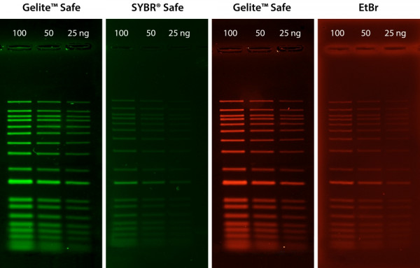Gelite(TM) X100 DNA Gel Stain *10,000X DMSO Solution*