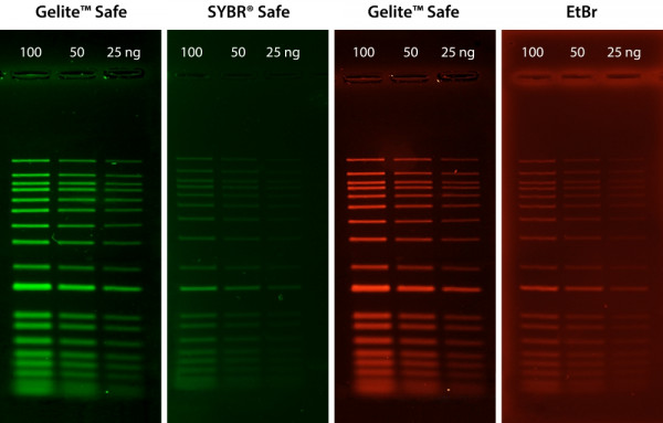 Gelite(TM) X100 DNA Gel Stain *10,000X DMSO Solution*