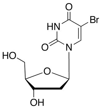 Bromodeoxyuridine (BrdU) (5-Bromo-2&#039;-deoxyuridine)