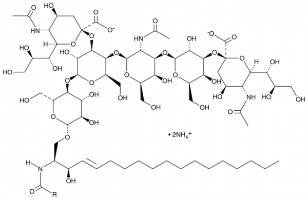 Ganglioside GD1a (porcine) (ammonium salt)