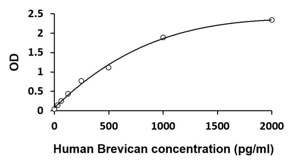 Human Brevican ELISA Kit