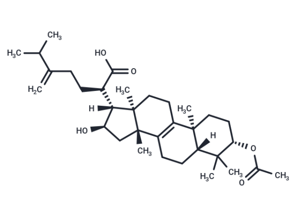 Pachymic acid