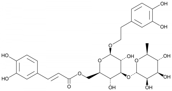 Isoverbascoside