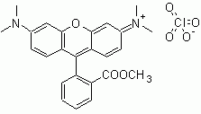 TMRM (Tetramethylrhodamine methyl ester)