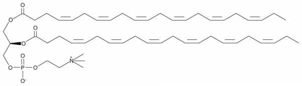 1,2-Didocosahexaenoyl-sn-glycero-3-PC