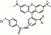 CytoTrace(TM) Orange CMTMR