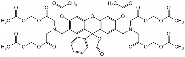 Calcein-AM Solution