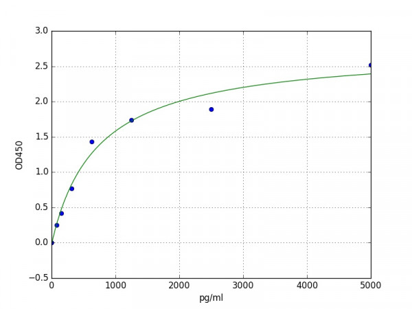 Human Cathepsin F ELISA Kit