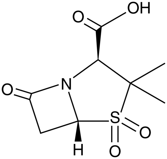 Sulbactam
