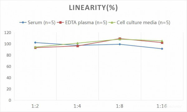 Human MCP-1 (Monocyte Chemotactic Protein 1) CLIA Kit