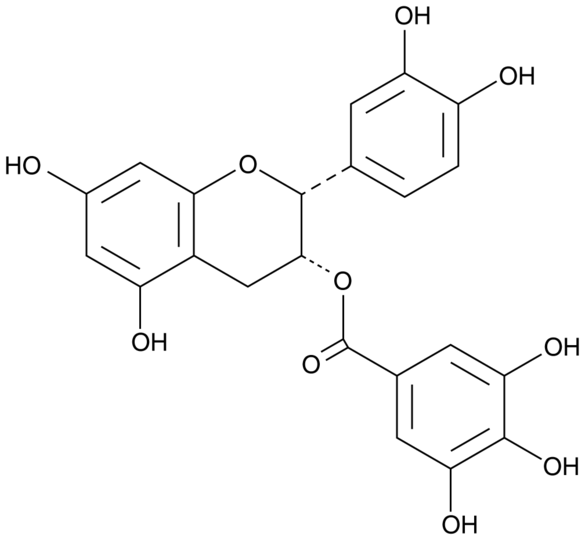 (-)-Epicatechin Gallate