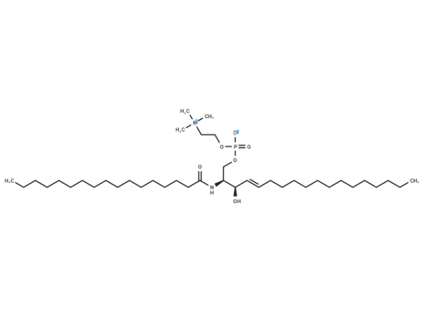 C17 Sphingomyelin (d18:1/17:0)