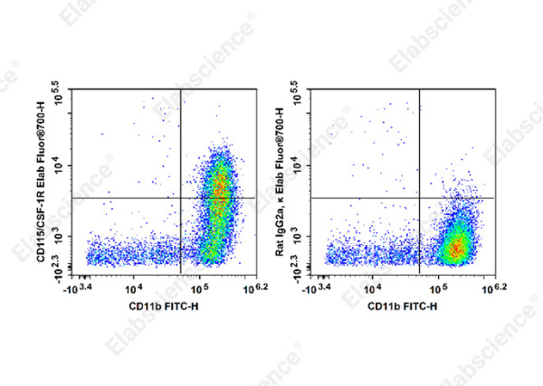 Elab Fluor(R)700 Anti-Mouse CD115/CSF-1R Antibody[AFS98]