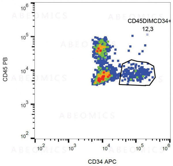 Anti-CD34 Monoclonal Antibody (Clone:581)-APC Conjugated