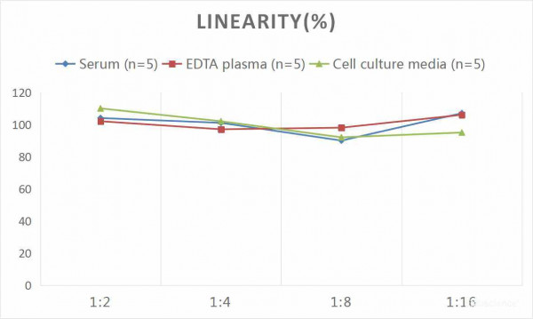 Human MUC5B (Mucin 5 Subtype B) CLIA Kit