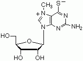 MESG *Phosphate assay reagent*