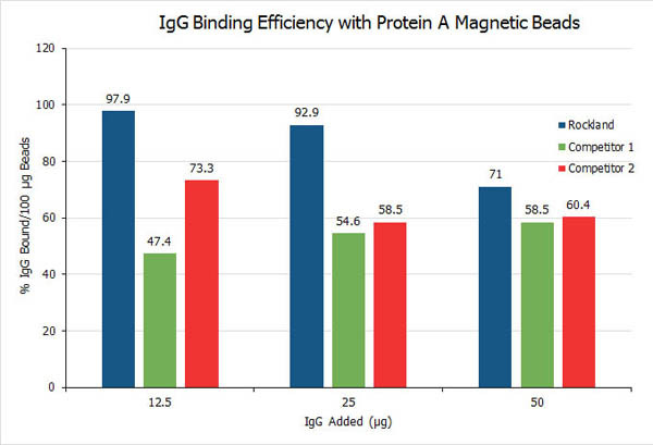 TrueBlot(R) Protein A Magnetic Beads IP/Co-IP Kit