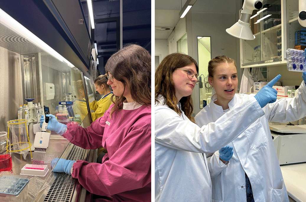 Virotherapie_Fig4