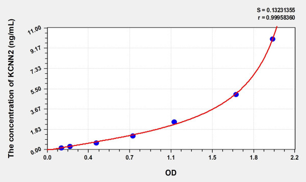 Human KCNN2 (Potassium Intermediate Small Conductance Calcium Activated Channel Subfamily N, Member