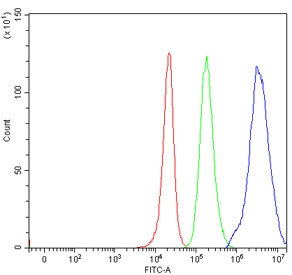 Anti-PCH2 / Pachytene checkpoint protein 2 homolog / TRIP13