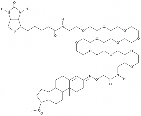 Progesterone 3-PEG11-biotin