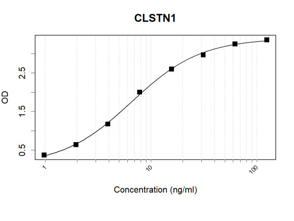 Anti-Human CLSTN1 Antibody Pair
