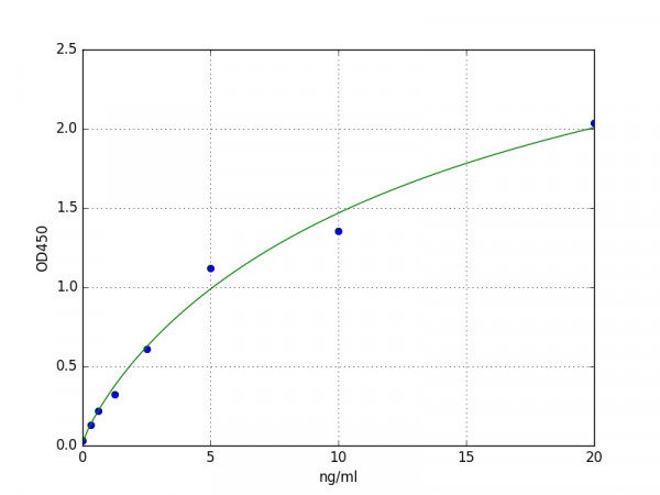 Human ATF6/Activating Transcription Factor 6 ELISA Kit