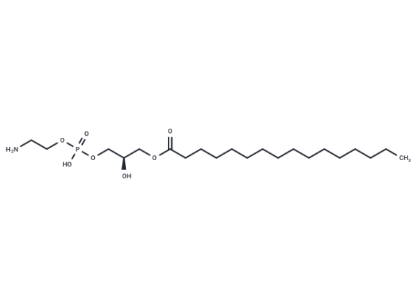 1-Palmitoyl-2-hydroxy-sn-glycero-3-PE