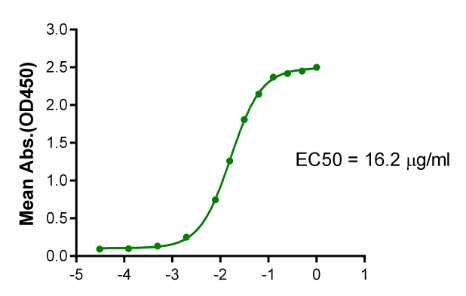 TNFRSF11B, His, Human