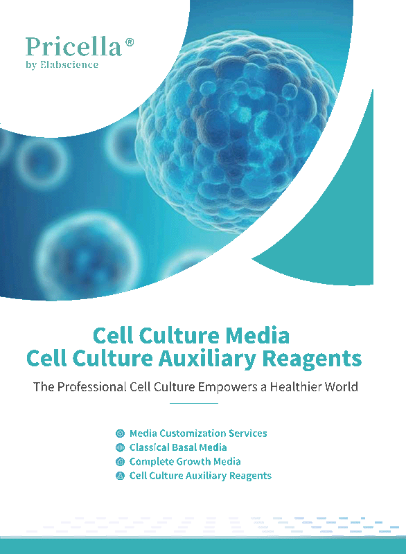 Cell Culture Media and Auxiliary Reagents