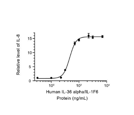 IL-36 alpha (IL-1F6) Recombinant