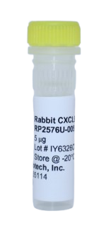 Recombinant Protein (MIG), cxcl9 rabbit (rcxCXCL9)