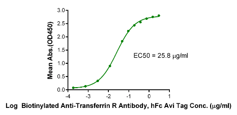 Transferrin R/CD71 hFc Chimera, Human