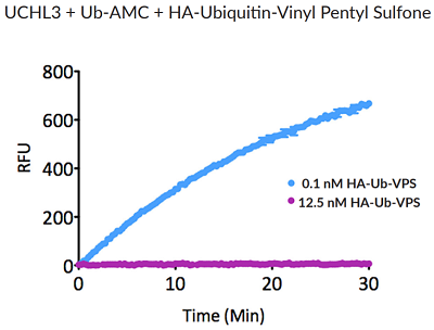 HA-Ubiquitin-vinyl pentyl sulfone (human) (rec.) (HA)