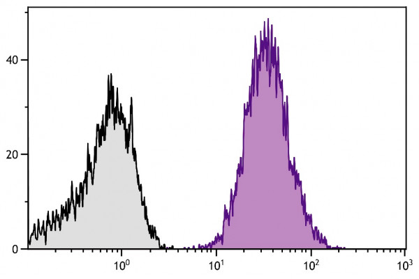 Anti-CD61 (PE), clone PM6/13