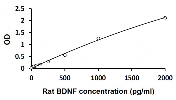 Rat BDNF ELISA Kit